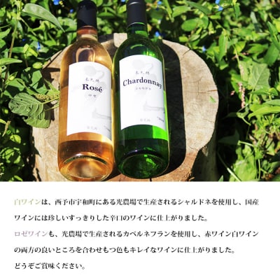 <光ワイン(「白」「ロゼ」各1本セット)>　酒　アルコール　飲み比べ　乾杯　光農場　お祝い