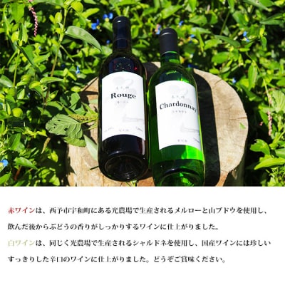 <光ワイン(「赤」「白」各1本セット)>　酒　アルコール　乾杯　飲み比べ　お祝い　光農場