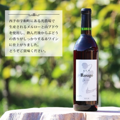 <光ワイン(「赤」2本セット)>　酒　アルコール　お祝い　光農場　乾杯