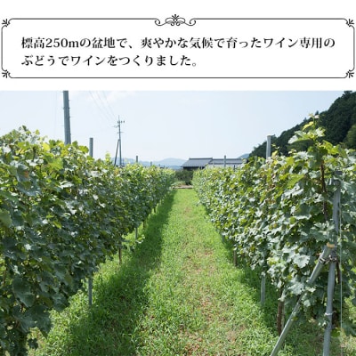 <光ワイン(「白」2本セット)>　酒　アルコール　乾杯　光農場　お祝い