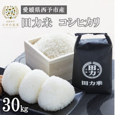 会津産 コシヒカリ 30kg 令和5年産 米専用貯蔵