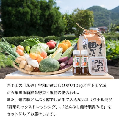 せいよ旬の野菜・果物・宇和米10kg・特製麦みそ・ドレッシング詰合せセット