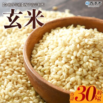 <令和6年産　西予市宇和町産　玄米30kg>　コメ　ご飯　ライス　特産品　ゴハン