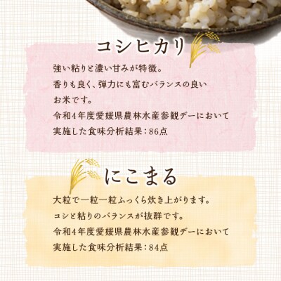 <令和6年産　西予市宇和町産　玄米30kg>　コメ　ご飯　ライス　特産品　ゴハン