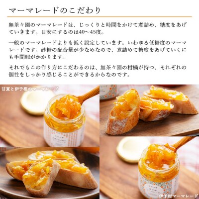 <無茶々園 ジュース 720ml×2本・マーマレード2種セット> 果物 伊予柑 甘夏 オレンジ