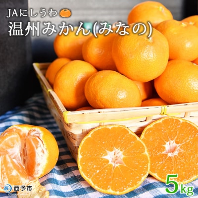 JAにしうわ　温州みかん「みなの」5kg(旧:しずる)