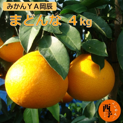 「まどんな」4kg(数量限定)