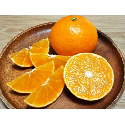 「まどんな」4kg(数量限定)