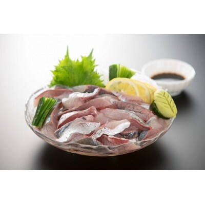 奥地あじ 2.5kg