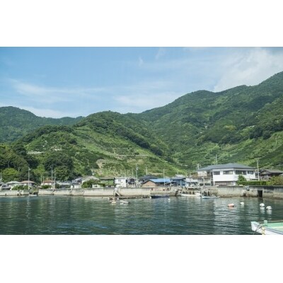 <明浜産真珠ペンダント・スルーバロック(ホワイトゴールド)>　パール　ジュエリー　アクセサリー