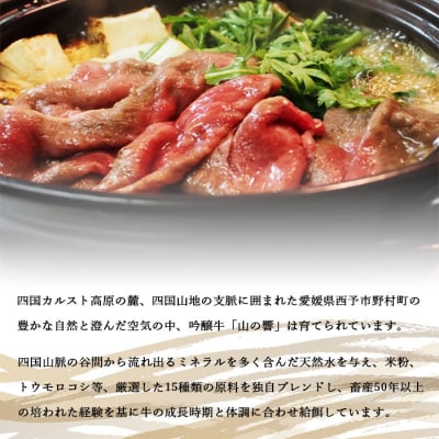 <愛媛県産吟醸牛「山の響」和牛すき焼き・うす切り焼肉(国産黒毛和牛)>　薄切り　やきにく　モモ　バラ