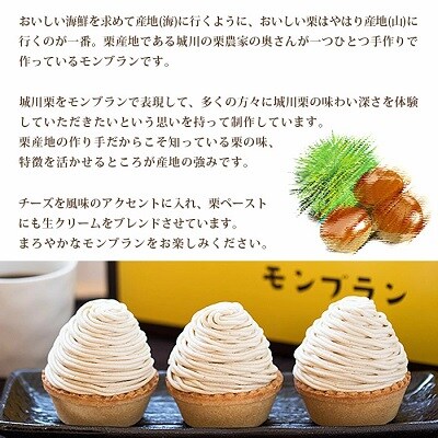 <城川オリジナルモンブラン (6個入)>　スイーツ　お菓子　マロン　和栗　西予市　愛媛産