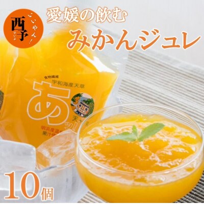 愛媛の飲むみかんジュレ(10個セット)