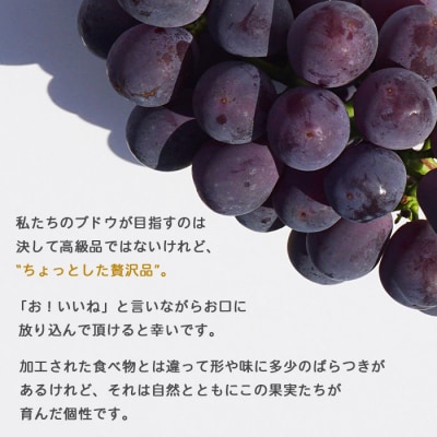 旬のブドウ　西予市産ピオーネ(1.5kg)　ぶどう　果物　おいしい　高級