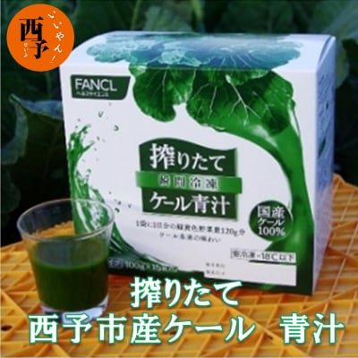 ファンケル　搾りたて西予市産ケール青汁(冷凍)