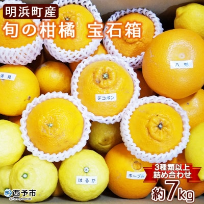 <先行受付>産地直送!!　愛媛県明浜町産　旬の柑橘　宝石箱(宇都宮農園)