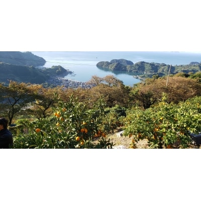 <先行受付>産地直送!!　愛媛県明浜町産　旬の柑橘　宝石箱(宇都宮農園)