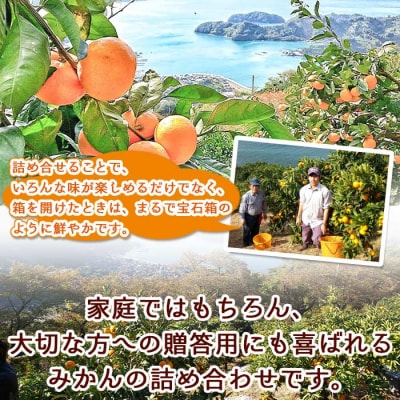 <先行受付>産地直送!!　愛媛県明浜町産　旬の柑橘　宝石箱(宇都宮農園)