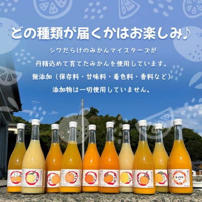 <一歩会 ジュエリーボックス ジュース飲み比べセット 720m2本入り(無添加果汁100%ジュース)