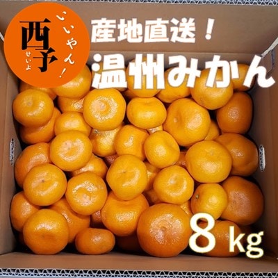 産地直送!!愛媛県明浜町産　温州みかん8kg(宇都宮農園)