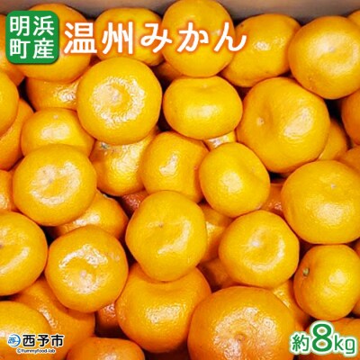<先行受付>産地直送!!愛媛県明浜町産　温州みかん8kg(宇都宮農園)