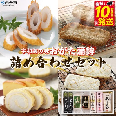 <宇和海からの贈り物　おがた蒲鉾 詰め合わせセット(ギフト可)>　海産　じゃこ天　あげ巻　天ぷら　魚
