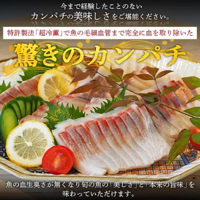 <異次元の鮮度!「超冷薫」冷凍カンパチ ロイン(5kg)>　かんぱち　海鮮　魚介　西予