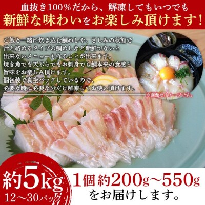 <異次元の鮮度!「超冷薫」冷凍真鯛 皮なしフィーレ(5kg)>　マダイ　たい　海鮮　魚介