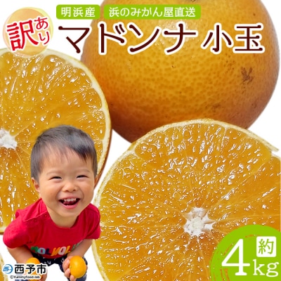 訳あり マドンナ 約4kg(小玉) 浜のみかん屋直送