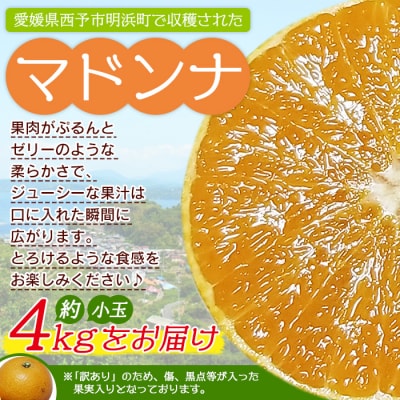 訳あり マドンナ 約4kg(小玉) 浜のみかん屋直送