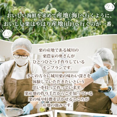 <和栗のモンブランタルト>　スイーツ　愛媛産　お菓子　ケーキ　マロン　西予市　城川