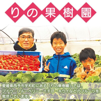 <愛媛オリジナルブランドいちご「紅い雫」が40%も入った贅沢アイス(8個セット)>　苺　イチゴ　宇和