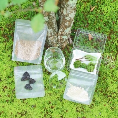 はじめての苔テラリウムにピッタリの作成キット 作り方動画付 お礼品詳細 ふるさと納税なら さとふる はじめての苔テラリウムにピッタリの作成キット 作り方動画付 お礼品詳細 ふるさと納税なら さとふる