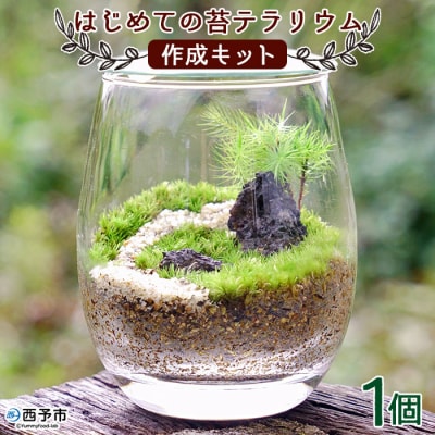 <はじめての苔テラリウムにピッタリの作成キット★作り方動画付>　手作り　インテリア　緑　グリーン