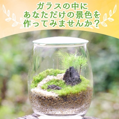 <はじめての苔テラリウムにピッタリの作成キット★作り方動画付>　手作り　インテリア　緑　グリーン