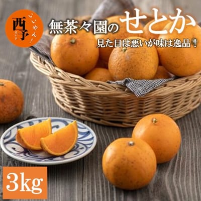 見た目は悪いが味は逸品　無茶々園のせとか　3kg