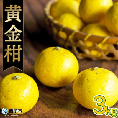 <無茶々園の黄金柑　3kg>　果物　フルーツ　柑橘　愛媛　期間限定