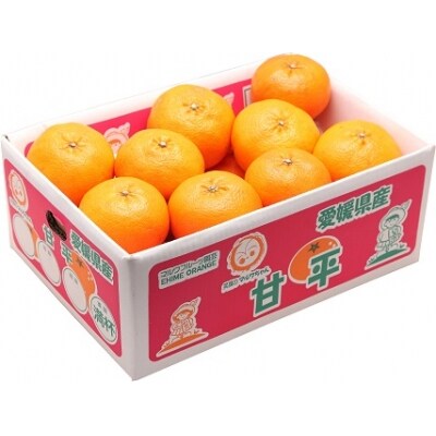 甘平　ご家庭用4kg