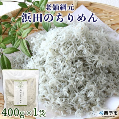 <老舗網元　濵田のちりめん(400g×1個)>　チリメン　減塩　西予　海産　魚介　産地直送　新鮮