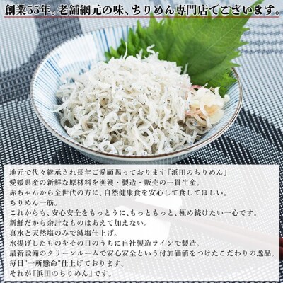 <老舗網元　浜田のちりめん(400g×2個)>　チリメン　西予　明浜　海産　魚介　産地
