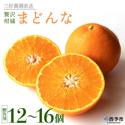 三好農園直送　愛媛県西予市産　贅沢柑橘「まどんな」　贈答用 12～16個入り