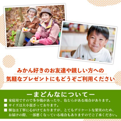 三好農園直送　愛媛県西予市産　贅沢柑橘「まどんな」　贈答用 12～16個入り