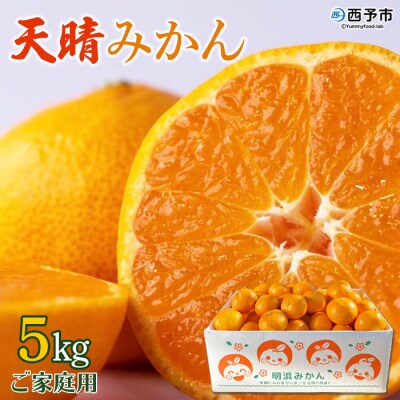 【先行予約】愛媛県明浜産　天晴みかん(温州みかん) 5kg