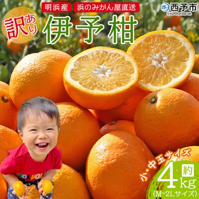 浜のみかん屋直送 伊予柑　訳あり　4㎏　小・中玉(M～2L)