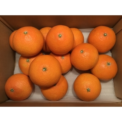 いのうえ農園直送マドンナ　4kg(家庭用)数量限定