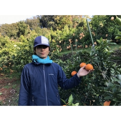 いのうえ農園直送マドンナ　4kg(家庭用)数量限定