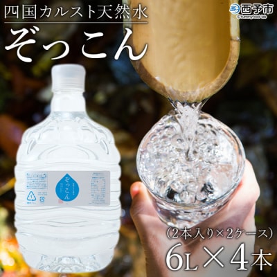 <四国カルスト天然水ぞっこん(6L×2本)×2ケース　計4本>　ミネラル　ウォーター　みず　備蓄