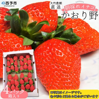 <大竹農園直送　朝採れイチゴ「かおり野」 4パック(箱入り)>　いちご　苺　フルーツ　西予　宇和