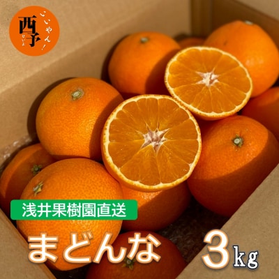 浅井果樹園直送　西宇和産まどんな 3kg