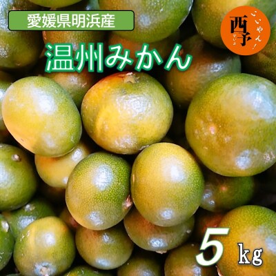 愛媛県西予市産　温州みかん　5kg